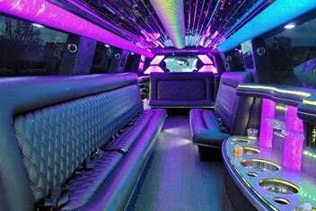 Amarillo Limo Interior